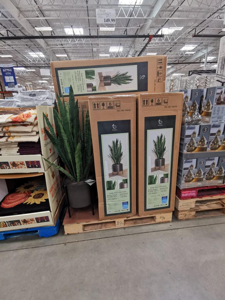 Costco1783156CGHunter53FauxSnakePlantwithStandall CostcoChaser