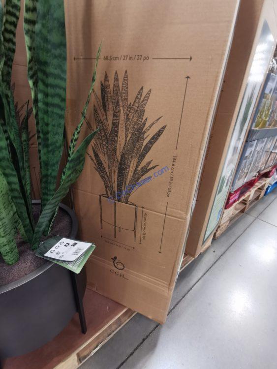 Costco1783156CGHunter53FauxSnakePlantwithStandsize CostcoChaser